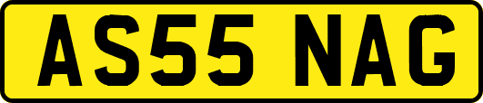 AS55NAG