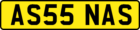 AS55NAS