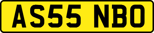 AS55NBO