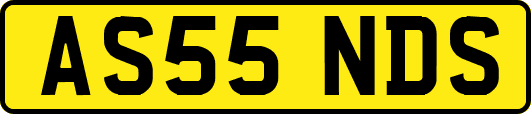 AS55NDS