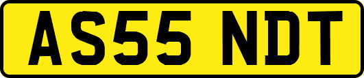 AS55NDT