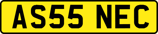AS55NEC