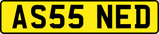 AS55NED
