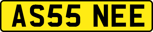 AS55NEE
