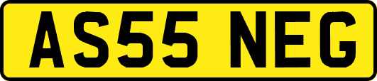 AS55NEG