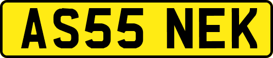 AS55NEK