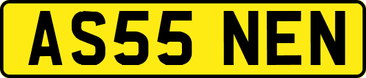 AS55NEN
