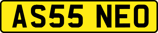 AS55NEO