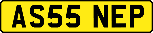 AS55NEP