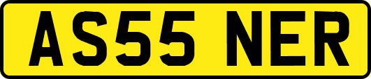AS55NER