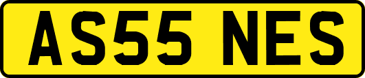 AS55NES