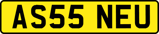 AS55NEU