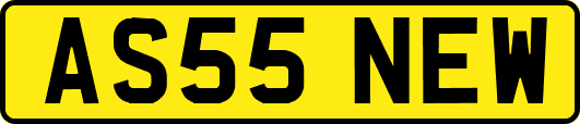 AS55NEW