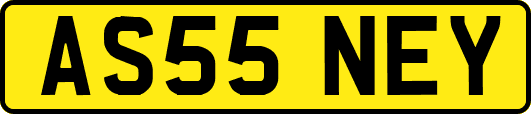 AS55NEY