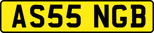 AS55NGB