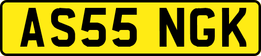 AS55NGK