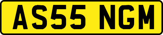 AS55NGM