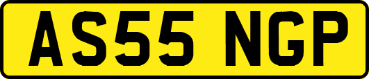 AS55NGP