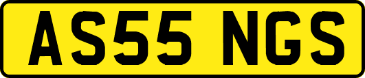 AS55NGS