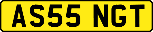 AS55NGT