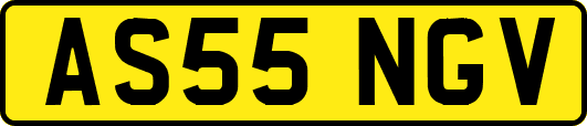 AS55NGV