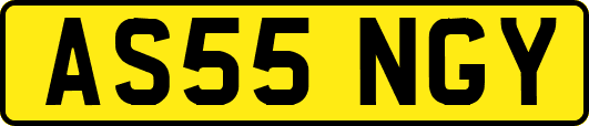 AS55NGY