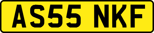 AS55NKF