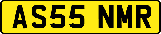 AS55NMR