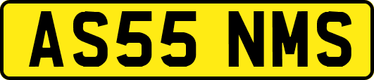 AS55NMS