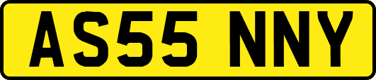 AS55NNY