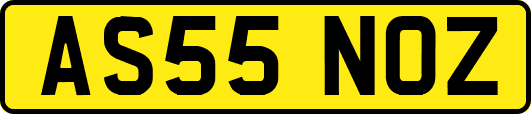 AS55NOZ