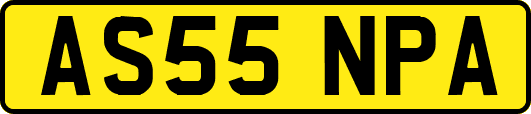 AS55NPA