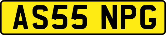 AS55NPG