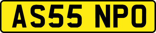 AS55NPO