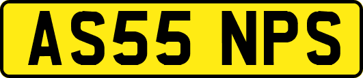 AS55NPS