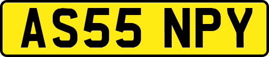 AS55NPY