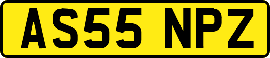 AS55NPZ
