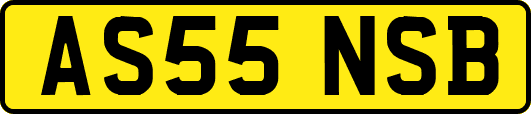 AS55NSB