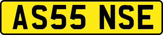 AS55NSE