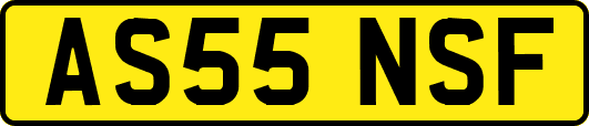 AS55NSF