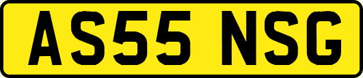 AS55NSG