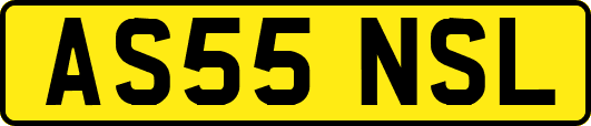 AS55NSL