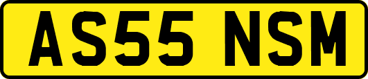 AS55NSM