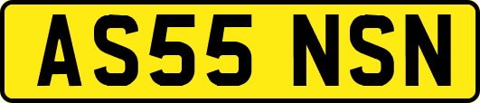 AS55NSN
