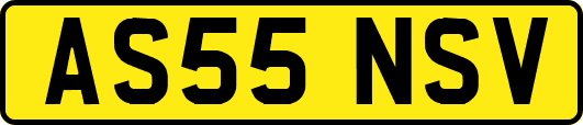 AS55NSV