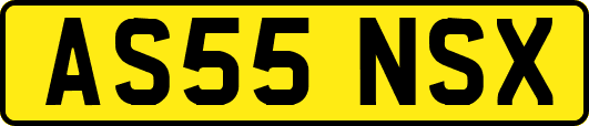 AS55NSX
