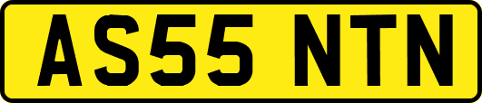 AS55NTN