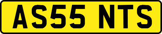 AS55NTS