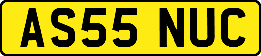 AS55NUC