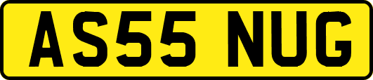 AS55NUG